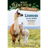 Llamas and the Andes: A Nonfiction Companion to Magic Tree House #34: Late Lunch with Llamas