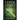 Leper Errant