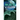 Sue's Vision