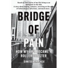 Bridge of Pain: How my life became a roller coaster