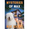 Mysteries of Max: Books 19-21