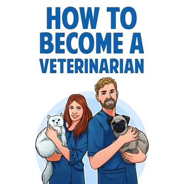 How to Become a Veterinarian