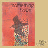 something flown