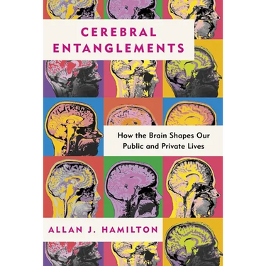 Cerebral Entanglements: How the Brain Shapes Our Public and Private Lives