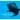 Wandering Whale Sharks