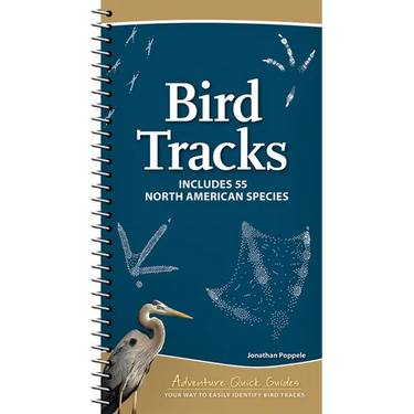 Bird Tracks: Includes 55 North American Species