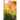 33 Days of Oils