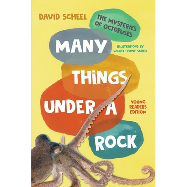 Many Things Under a Rock Young Readers Edition: The Mysteries of Octopuses