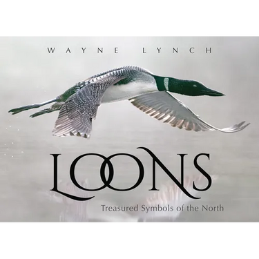 Loons: Treasured Symbols of the North