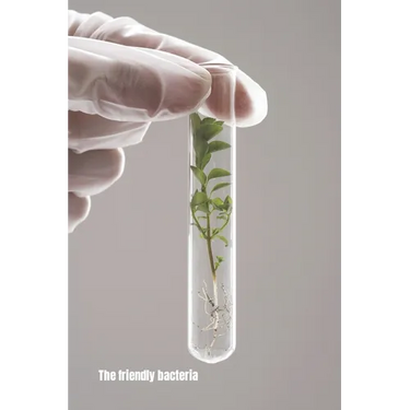 The Friendly Bacteria: A guide to the friendly flora in your gut. Introduction on how to keep you gut healthy, and recipes for bacteria-friendly foods