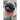 It;s All about the Pug: Pug Life