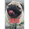 It;s All about the Pug: Pug Life