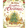 Countdown to Christmas: 24 Magical Advent Stories