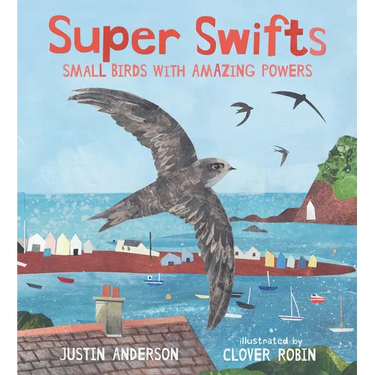 Super Swifts: Small Birds with Amazing Powers
