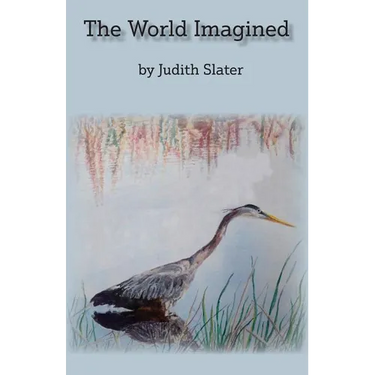 The World Imagined
