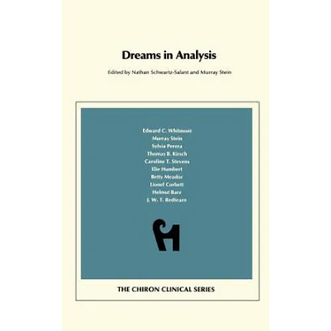 Dreams in Analysis (Chiron Clinical Series)