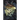 The Inquisitor's Mark