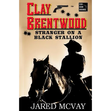 Stranger on a Black Stallion