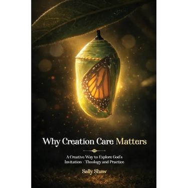 Why Creation Care Matters: A Creative Way to Explore God's Invitation - Theology and Practice