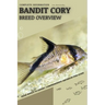 Bandit Cory: From Novice to Expert. Comprehensive Aquarium Fish Guide