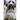 The Little Poetry Book about Loving Havanese Dogs