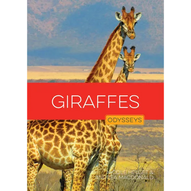 Giraffes