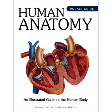 Human Anatomy: An Illustrated Guide to the Human Body