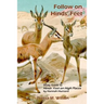 Follow on Hinds' Feet: Study Guide to Hinds' Feet on High Places