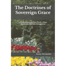 The Doctrines of Sovereign Grace: A Biblical Introduction from a Non-Moderate Calvinist Perspective
