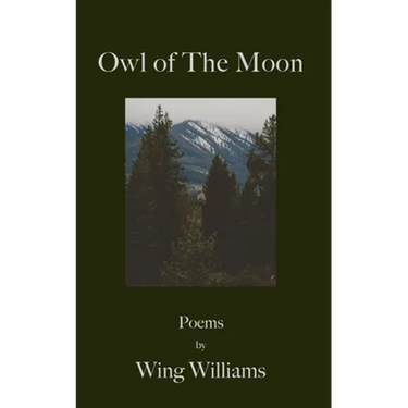 Owl of The Moon