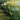 Cellophane Farm: Life in the slow lane