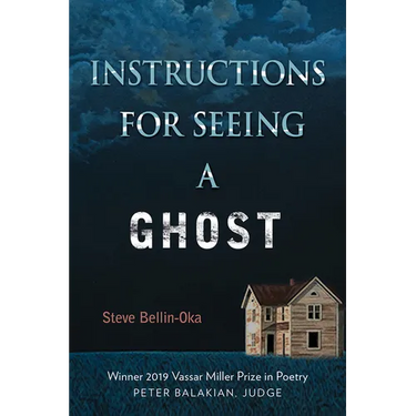 Instructions for Seeing a Ghost