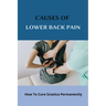 Causes Of Lower Back Pain: How To Cure Sciatica Permanently: How To Heal Your Sciatica