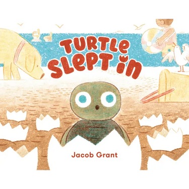 Turtle Slept in