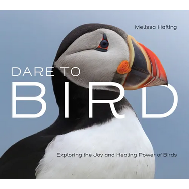 Dare to Bird: Exploring the Joy and Healing Power of Birds