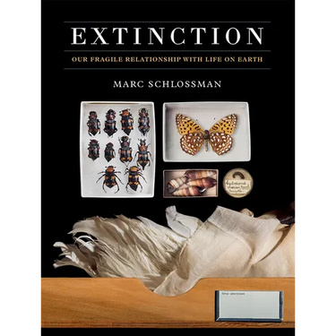 Extinction: Our Fragile Relationship with Life on Earth