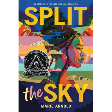 Split the Sky (Coretta Scott King Author Honor Title)