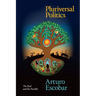 Pluriversal Politics: The Real and the Possible
