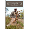 Bowhunting Public Land Whitetails