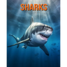 Sharks: Fun Facts Book for Kids with Amazing Photos