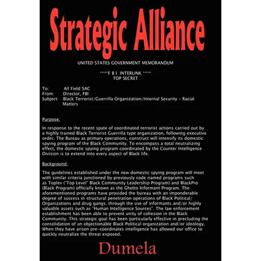 Strategic Alliance