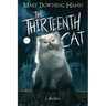 The Thirteenth Cat
