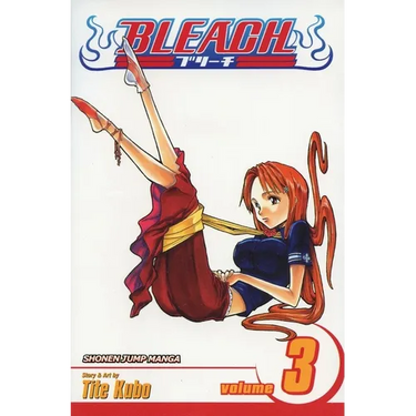Bleach, Volume 3