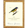 The Painted Bunting's Last Molt: Poems