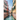 Celebrating the City of Venice