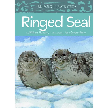 Animals Illustrated: Ringed Seal