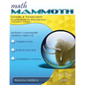 Math Mammoth Grade 4 Tests and Cumulative Reviews, Canadian Version