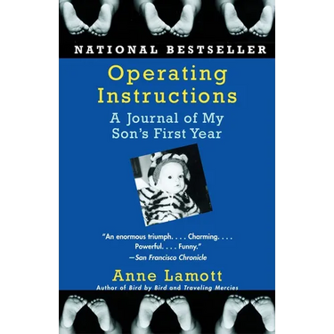 Operating Instructions: A Journal of My Son's First Year