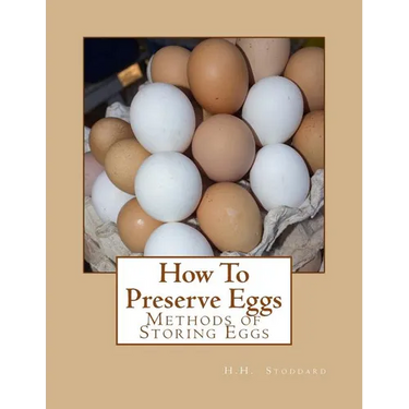 How To Preserve Eggs: Methods of Storing Eggs
