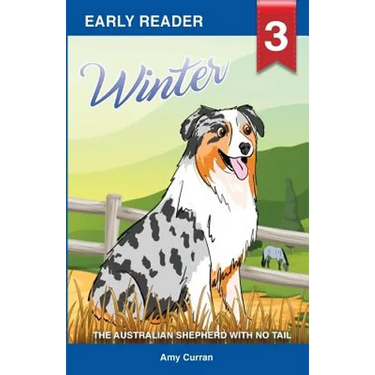 Winter the Australian Shepherd with no tail
